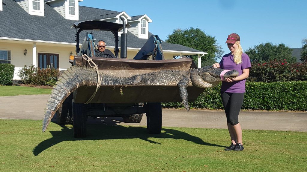 Photo: Christy Kroboth, Gator Squad