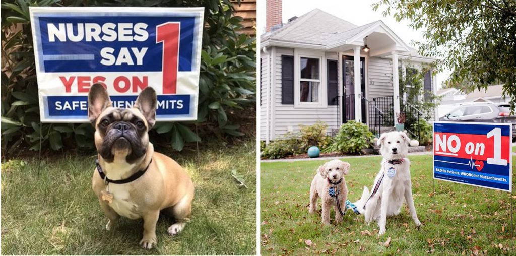 Photos: Even dogs disagreed: Yes or No to Question 1 about nurse-to-patient ratios?