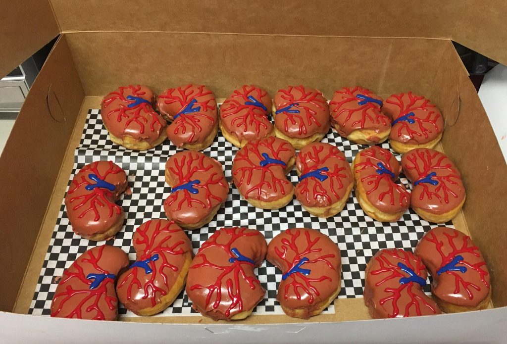 Kidney-themed donuts to celebrate your transplant anniversary