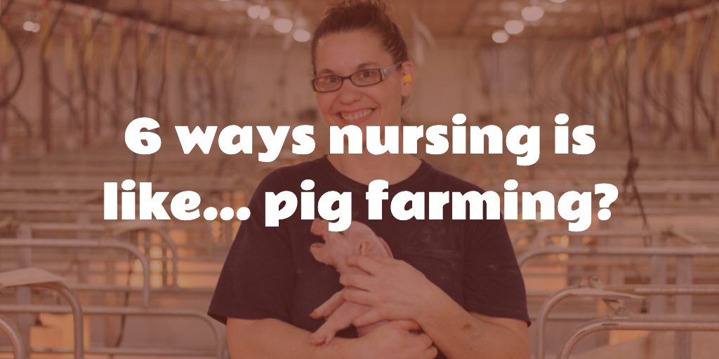 Nursing is just like... pig farming?
